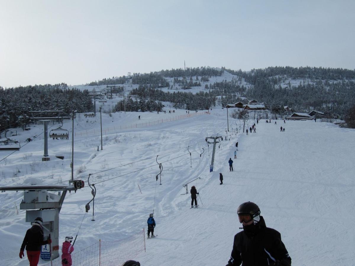 Vradal Panorama - Tiurasvegen 39 Villa Dış mekan fotoğraf
